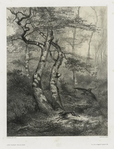 Hare Pursued by a Goshawk by Karl Bodmer, print, 1858
