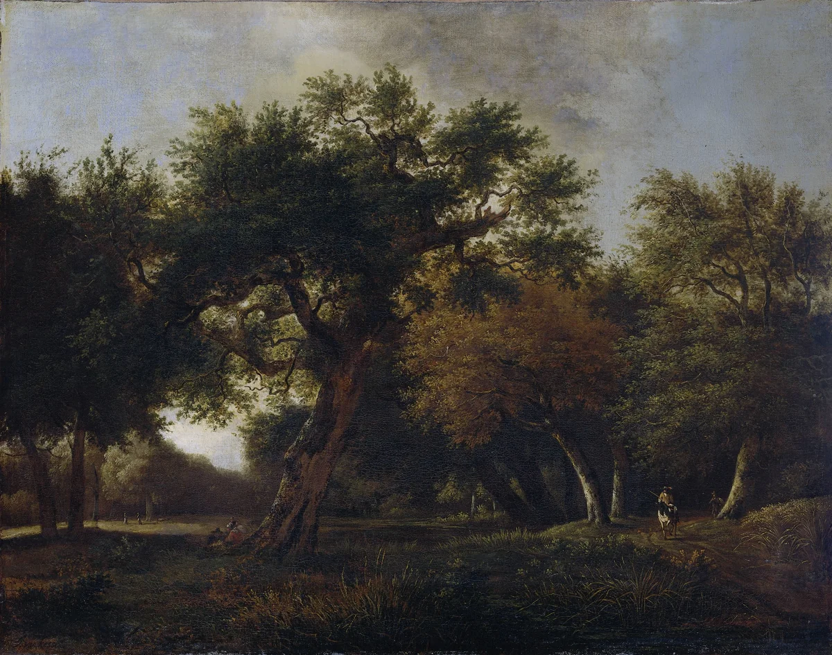 View in the Woods by Jan van Kessel, painting, 1660-1680