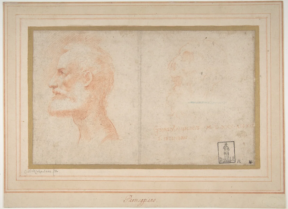 Head of a Bearded Man in Profile to Left, possibly the Portrait of the Poet Giorgio Anselmi (ca. 1459-1528), with Faint Sketch of a Skull-like Head by Parmigianino, drawing, 1503-1540