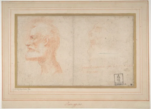 Head of a Bearded Man in Profile to Left, possibly the Portrait of the Poet Giorgio Anselmi (ca. 1459-1528), with Faint Sketch of a Skull-like Head by Parmigianino, drawing, 1503-1540