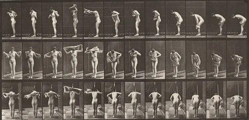 Plate Number 414. Wiping body with towel by Eadweard Muybridge, photograph, 1887