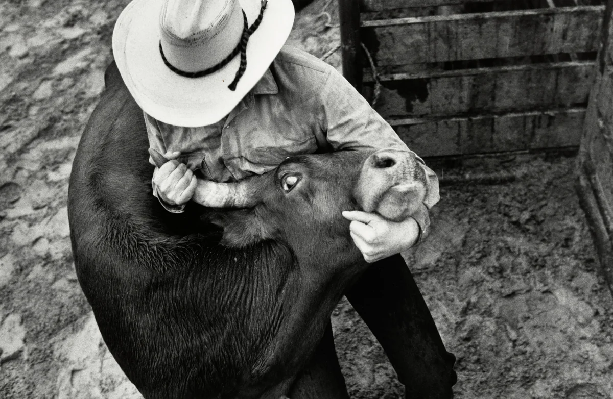 The Rodeo, no. 1 by Nancy Andrews, photograph, 1993