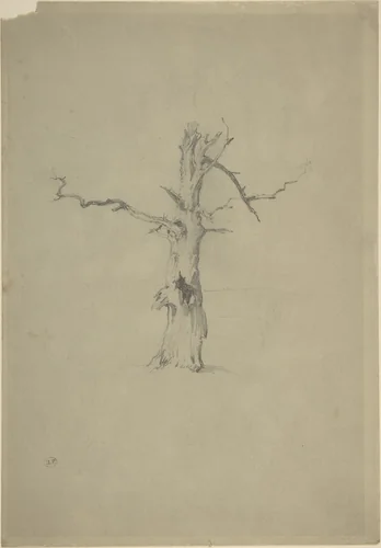 Study of a Dead Tree by Myles Birket Foster, drawing, 1840-1899