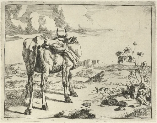 Koe zichzelf likkend by Marcus de Bye, print, 1657-1677