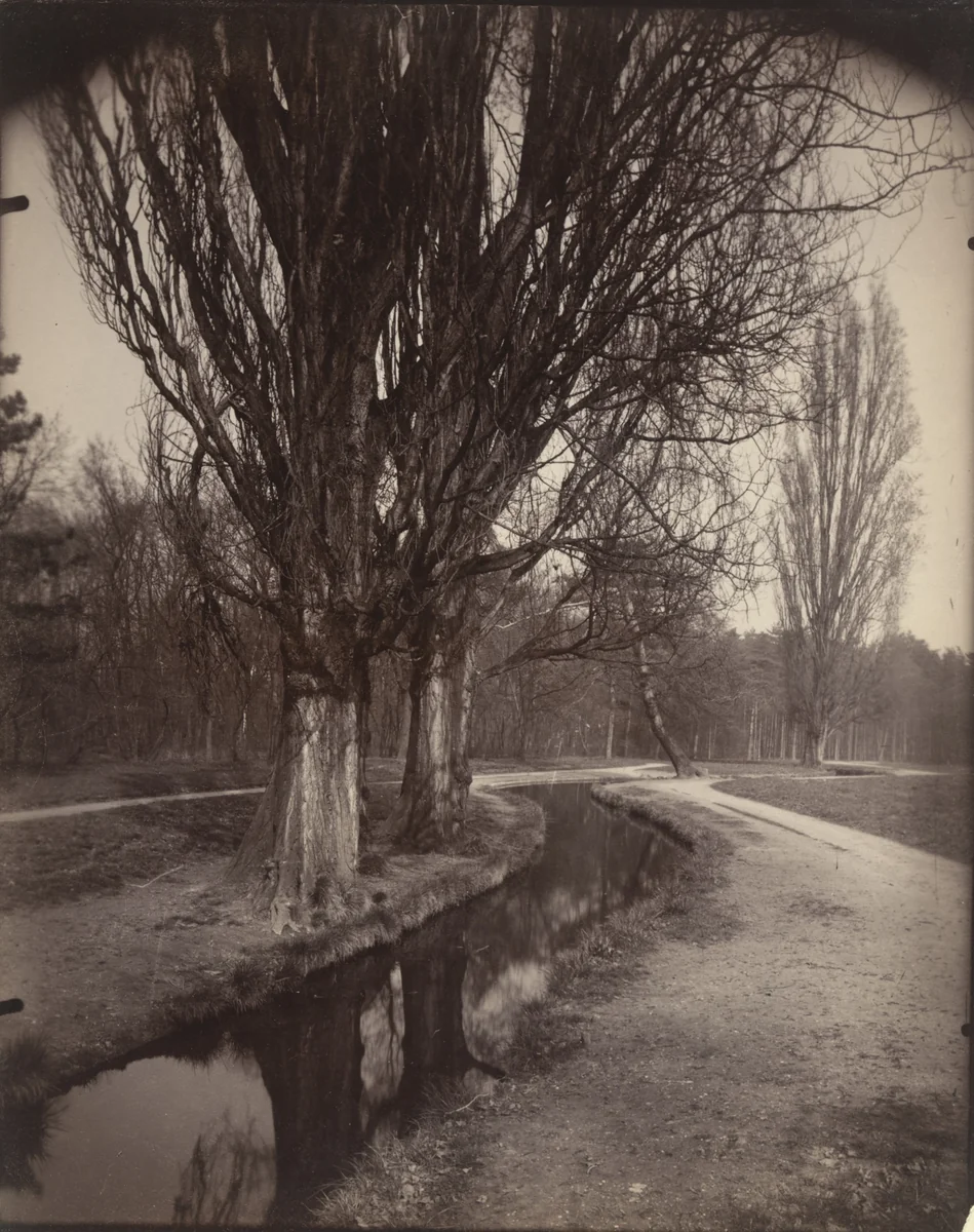Bois de Boulogne by Eugène Atget, photograph, 1923