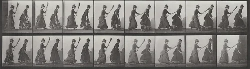 Plate Number 464. Woman chasing another with a broom by Eadweard Muybridge, photograph, 1887