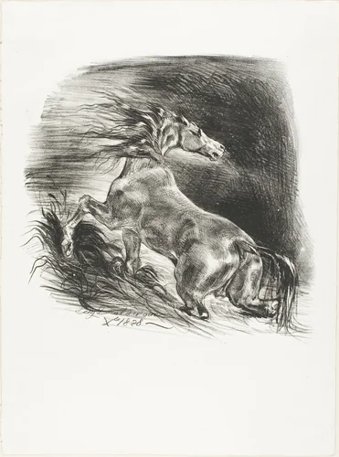Wild Horse, or Frightened Horse Leaving the Water by Eugène Delacroix, print, 1828