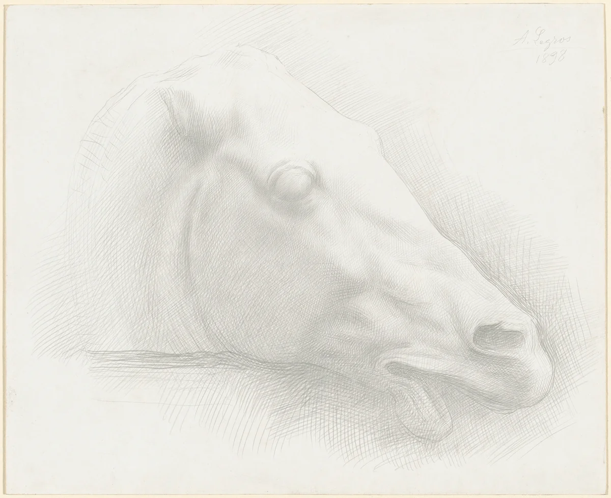 Head of a Horse from the Parthenon by Alphonse Legros, drawing, 1898