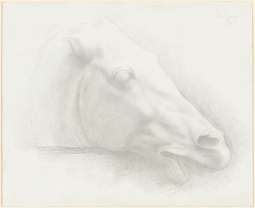 Head of a Horse from the Parthenon by Alphonse Legros, drawing, 1898