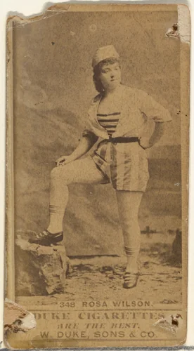 Card Number 348, Rosa Wilson, from the Actors and Actresses series (N145-7) issued by Duke Sons & Co. to promote Duke Cigarettes by W. Duke, Sons & Co., photograph, 1880-1889