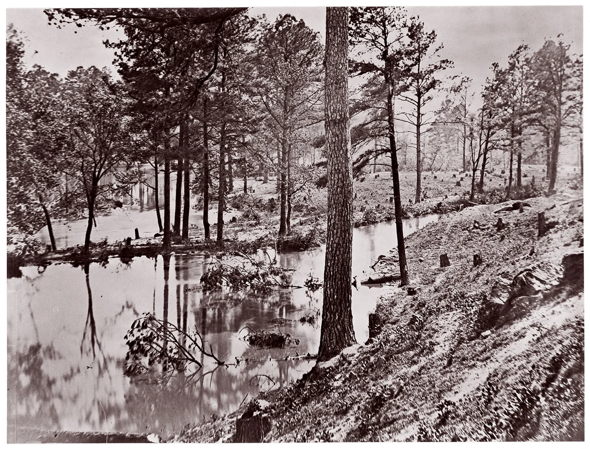 [Swamp Near Broadway Landing, Appomattox River, Virginia] by William Frank Browne, photograph, 1864