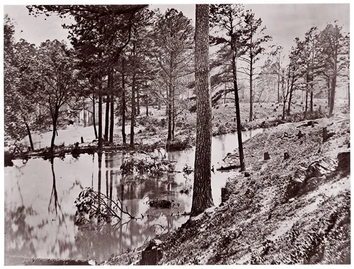 [Swamp Near Broadway Landing, Appomattox River, Virginia] by William Frank Browne, photograph, 1864