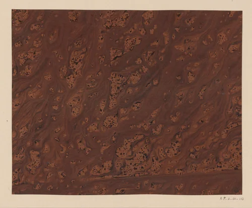 Boomwortelmarmer in zwart en bruin by anonymous, other, 1750-1900