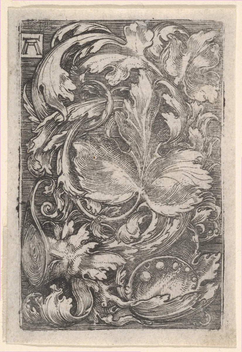 Leaf Ornament with Lilies of the Valley by Albrecht Altdorfer, print, 1500-1538