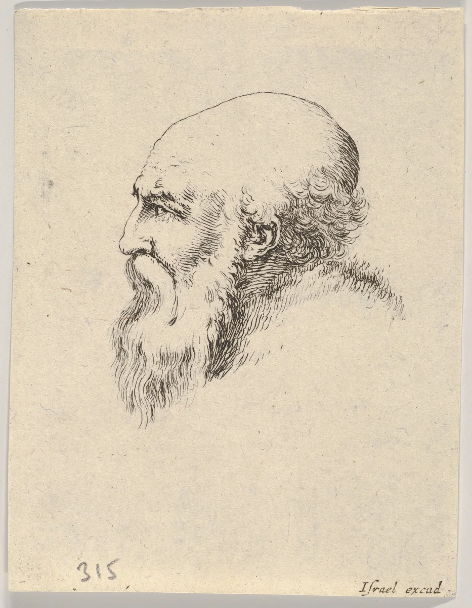 Plate 8: Head of an old bald man with a long beard, facing left in profile, from "Various heads and figures" (Diverses têtes et figures) by Stefano della Bella, print, 1650