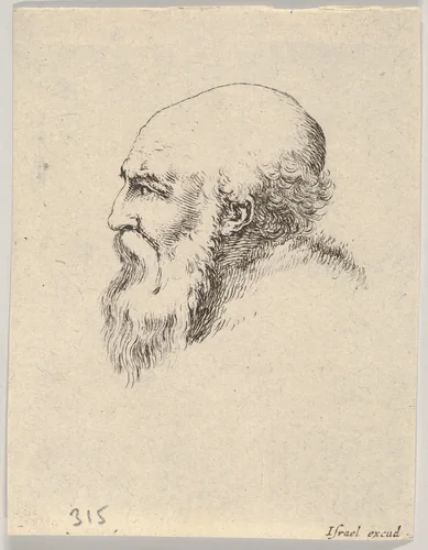 Plate 8: Head of an old bald man with a long beard, facing left in profile, from "Various heads and figures" (Diverses têtes et figures) by Stefano della Bella, print, 1650