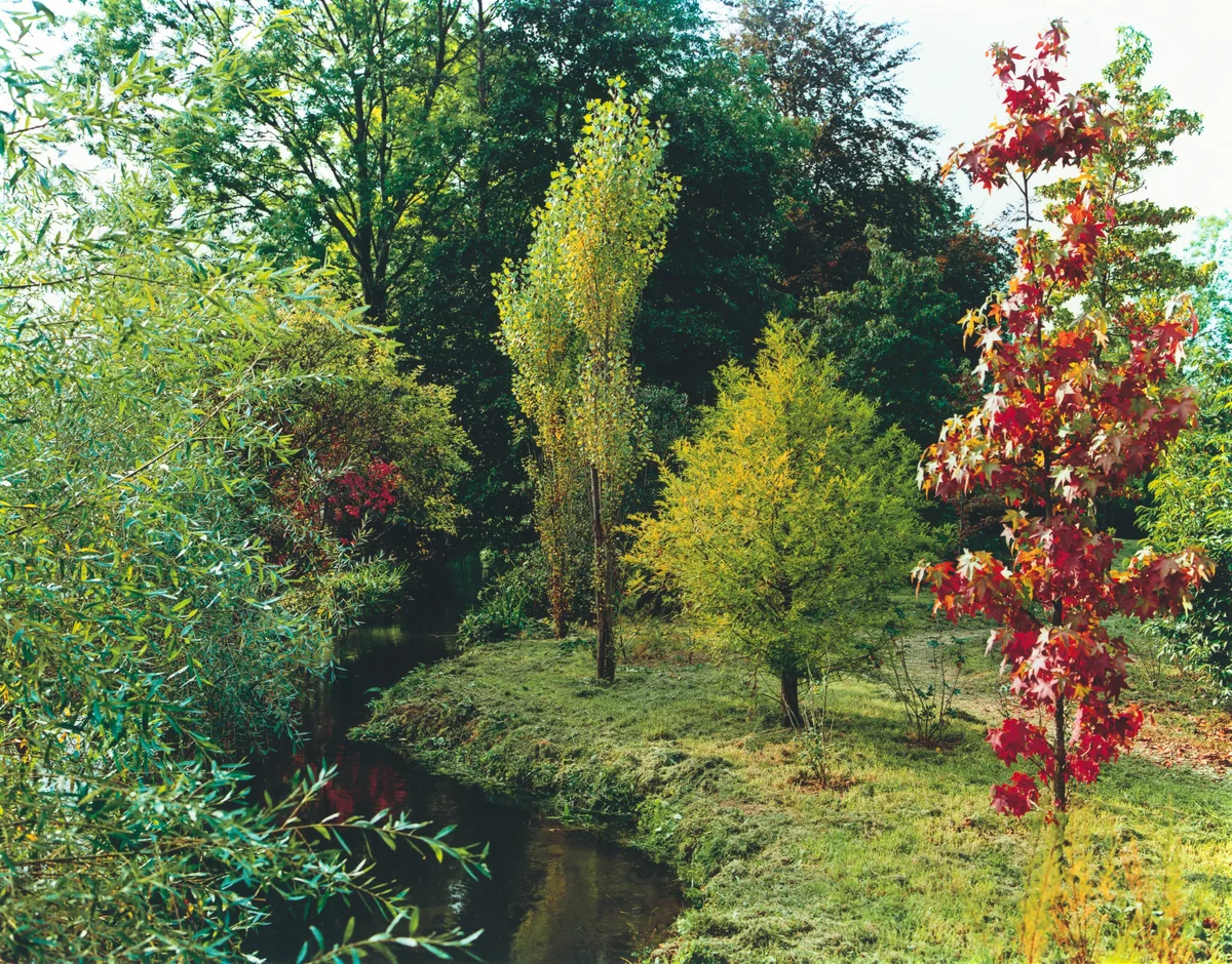 Plate VI by Stephen Shore, photograph, 1977
