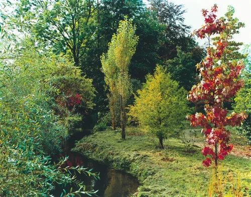 Plate VI by Stephen Shore, photograph, 1977