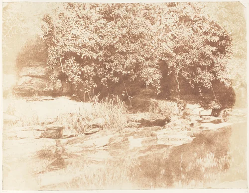 Burnside, Fife / Island in the Almond River by Hill and Adamson, photograph, 1843-1847