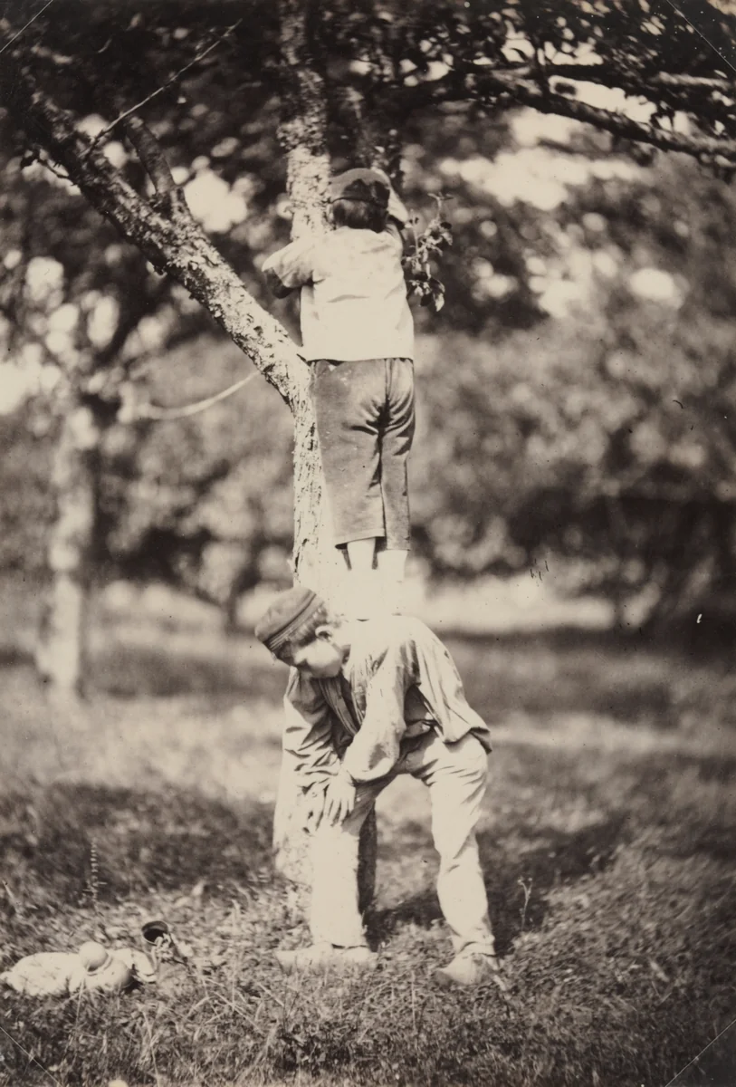 French Country Study: Two Boys Climbing a Tree by Auguste Giraudon, photograph, 1870-1880