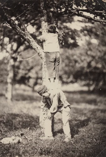 French Country Study: Two Boys Climbing a Tree by Auguste Giraudon, photograph, 1870-1880