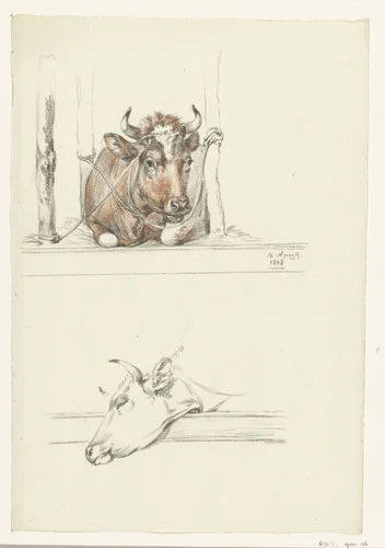 Koe in de stal en de kop van een koe by Jean Bernard, drawing, 1808