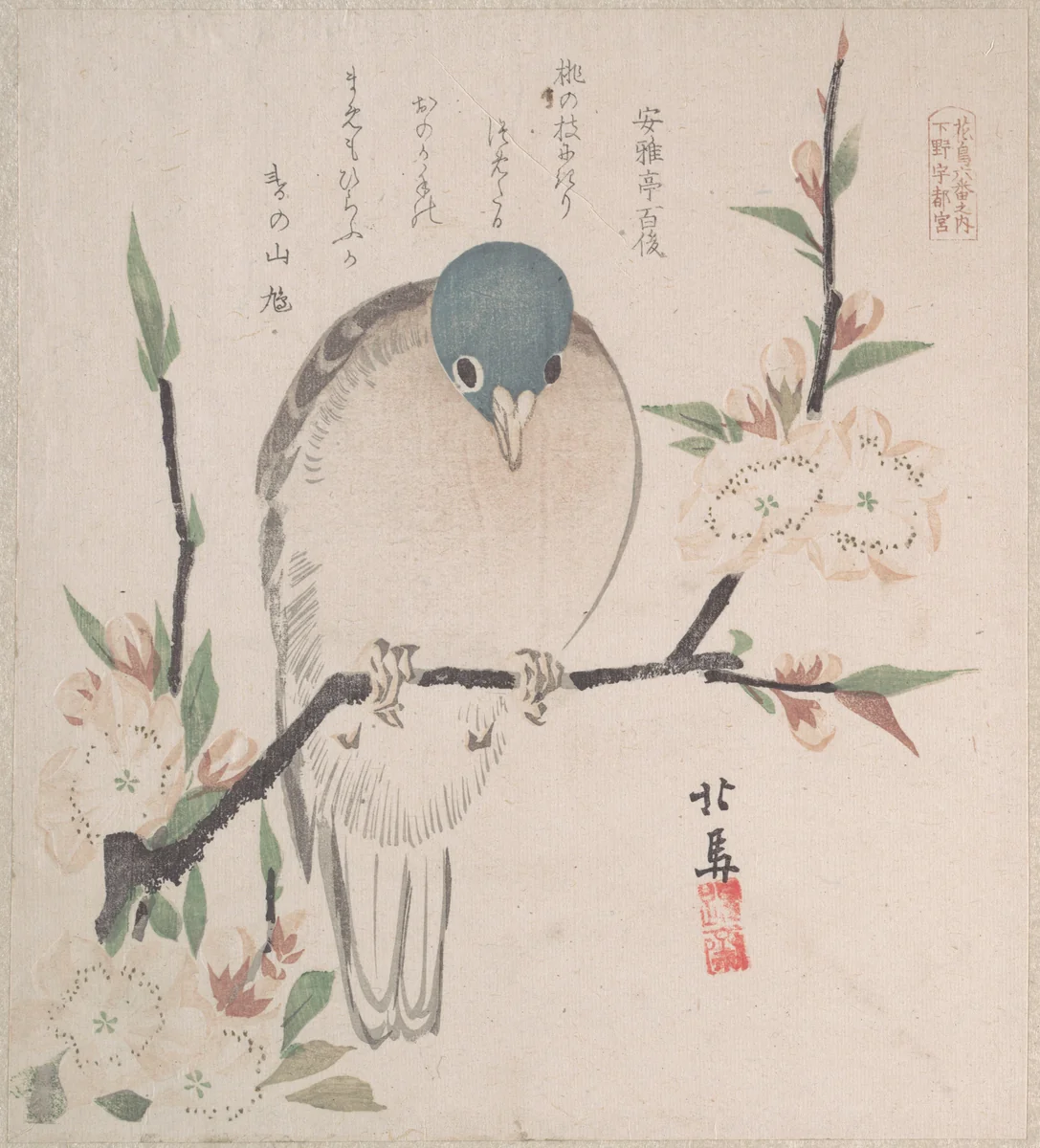 Spring Rain Collection (Harusame shū), vol. 3: Mountain Dove and Peach Flowers by Teisai Hokuba (蹄斎北馬), print, 1810-1830