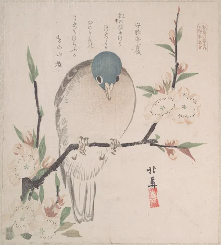 Spring Rain Collection (Harusame shū), vol. 3: Mountain Dove and Peach Flowers by Teisai Hokuba (蹄斎北馬), print, 1810-1830