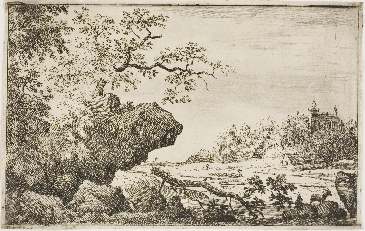 Branch of a tree by Allart van Everdingen, print, 1641-1675