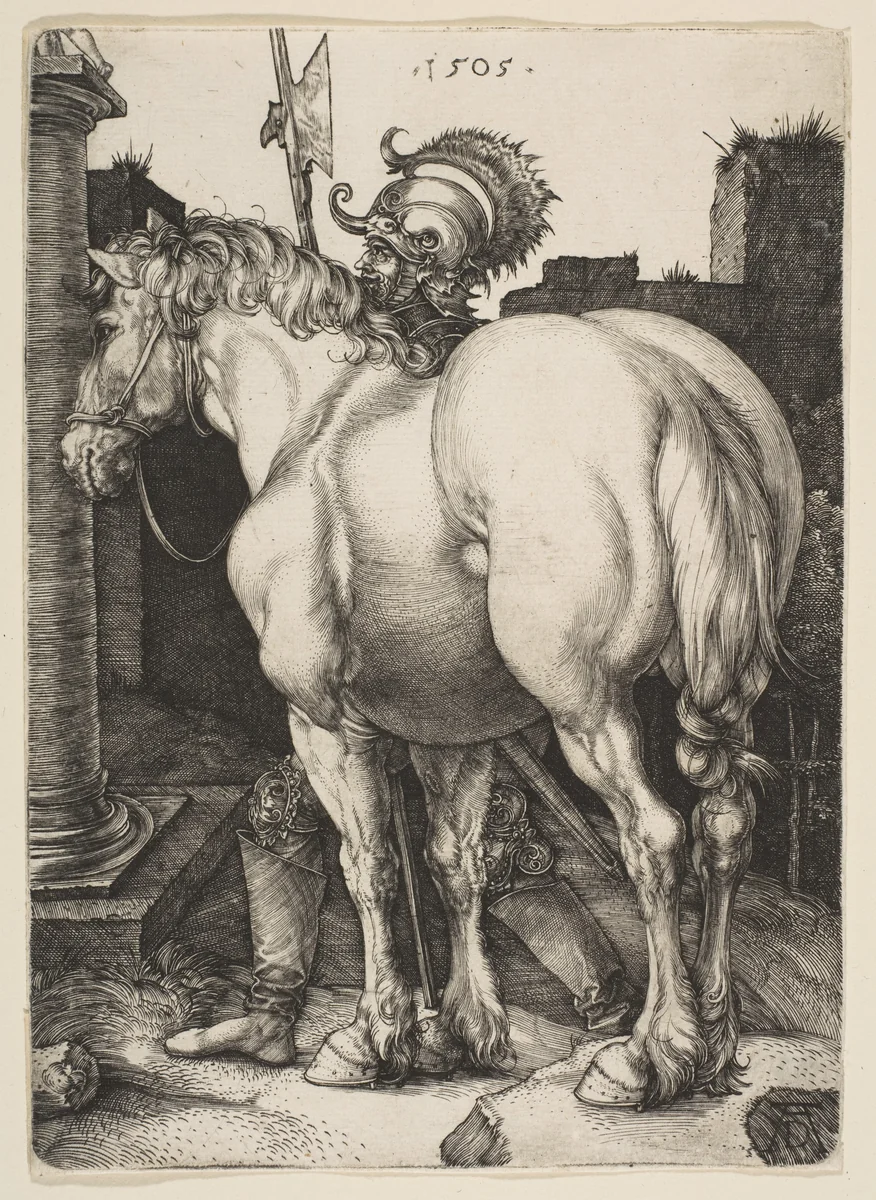 The Large Horse by Albrecht Dürer, print, 1505