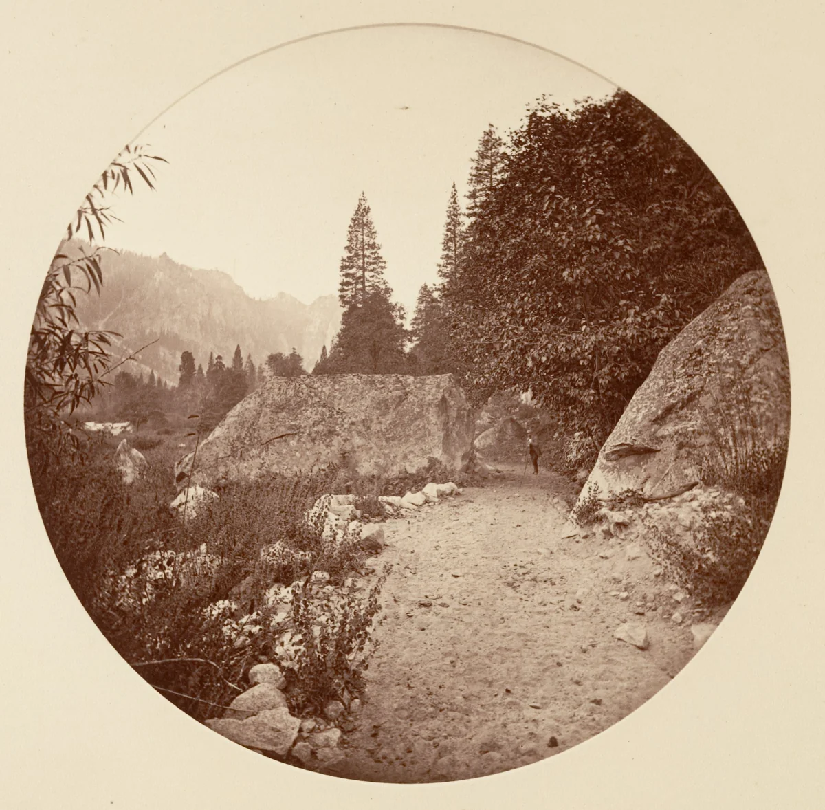 [Yosemite National Park, California] by Carleton E. Watkins, photograph, 1876-1880