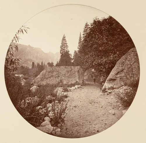 [Yosemite National Park, California] by Carleton E. Watkins, photograph, 1876-1880
