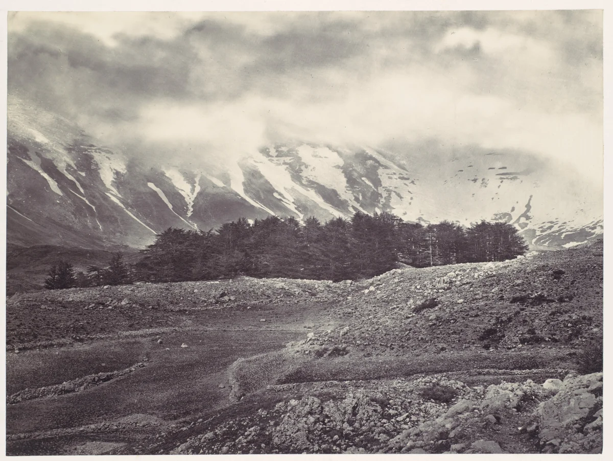 Distant View of the Cedars of Lebanon by Francis Frith, photograph, 1855-1859