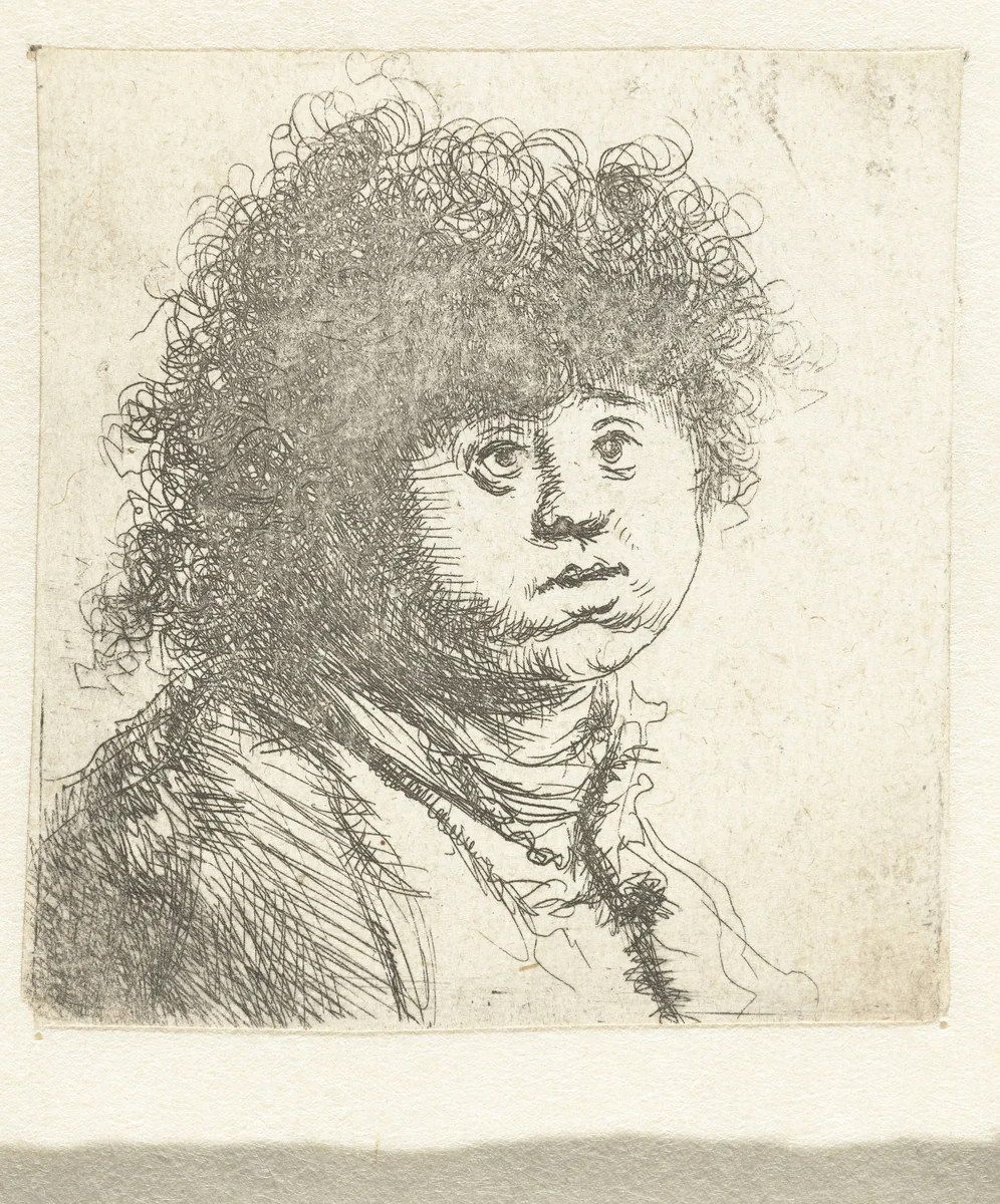 Hoofd van een kind by Jan Lievens, print, 1625-1674