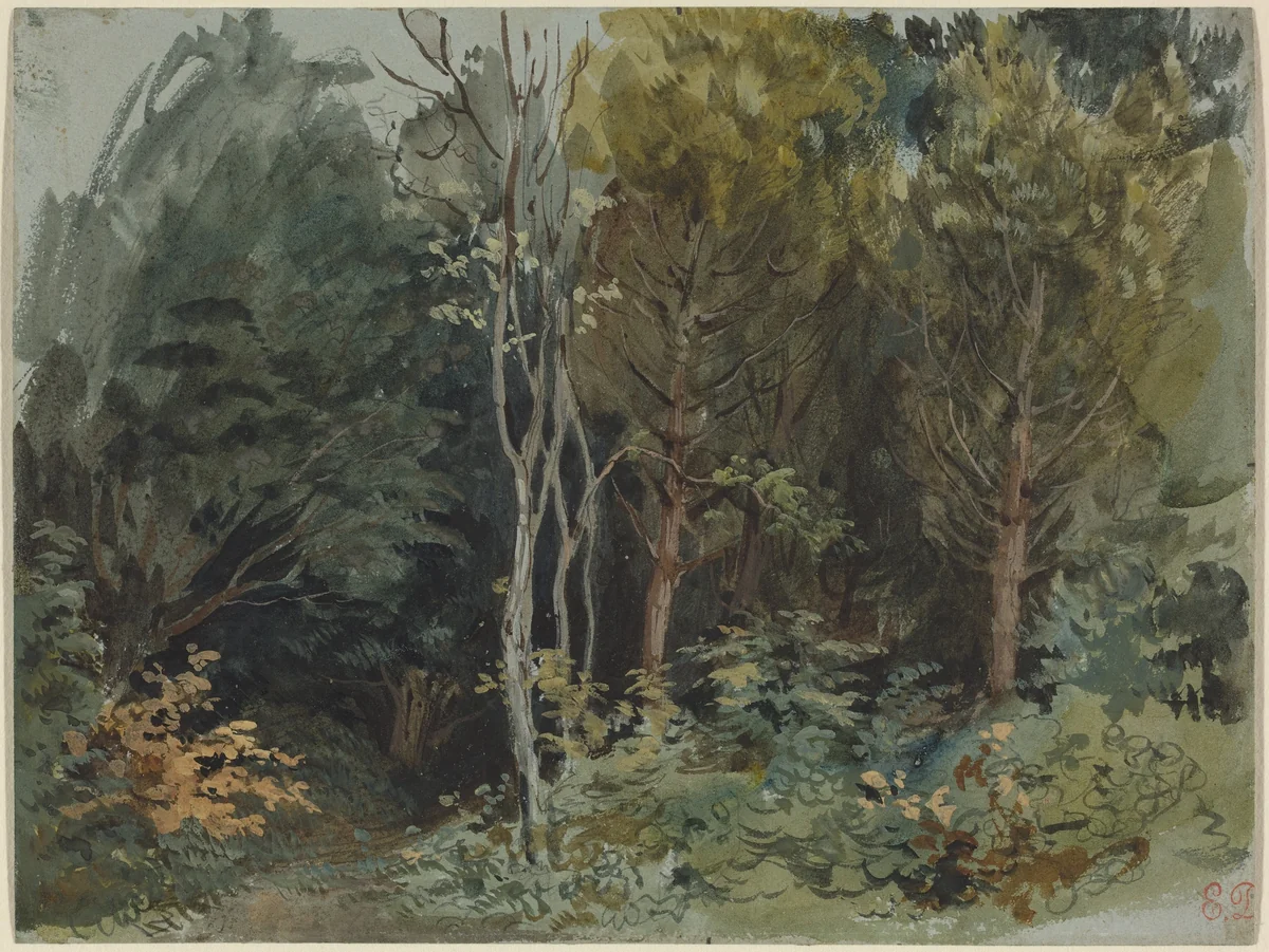 The Edge of a Wood at Nohant by Eugène Delacroix, drawing, 1842-1843