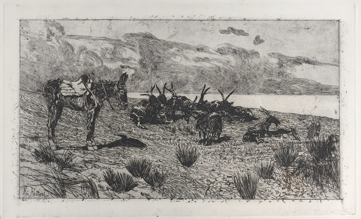 Donkeys on a seashore in winter by Giovanni Fattori, print, 1884-1908