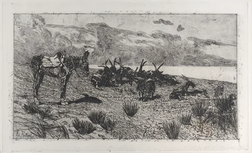 Donkeys on a seashore in winter by Giovanni Fattori, print, 1884-1908