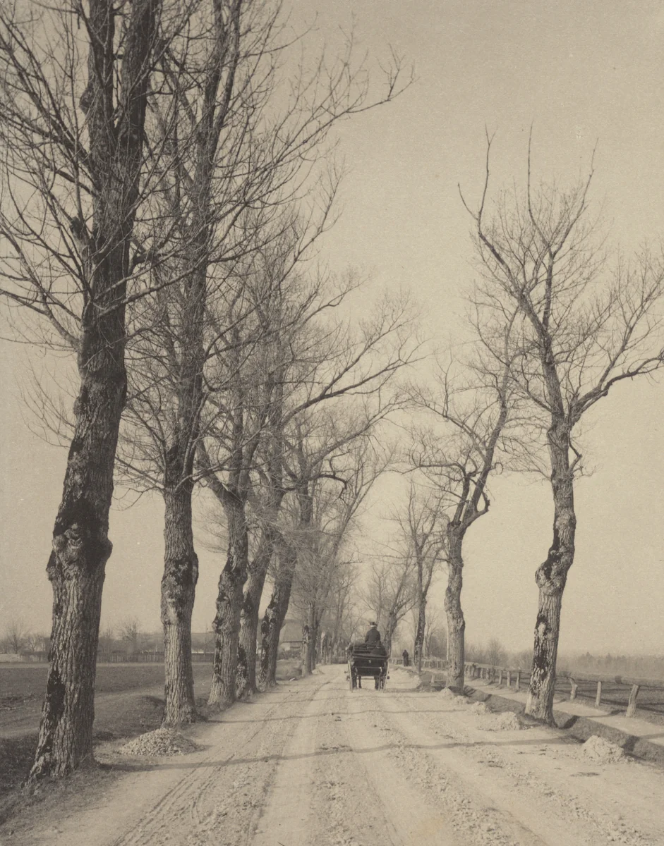 November Days by Alfred Stieglitz, photograph, 1887