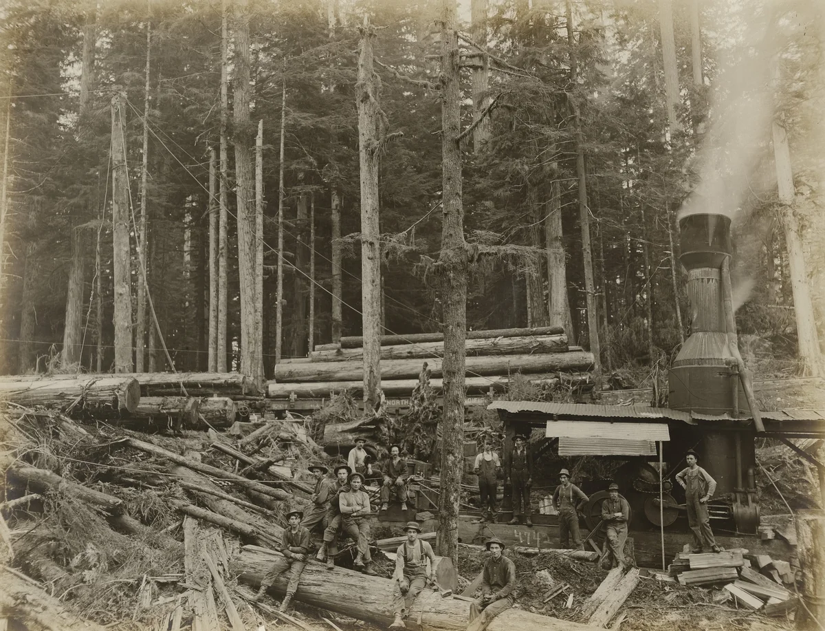 Untitled by Darius Kinsey, photograph, 1910