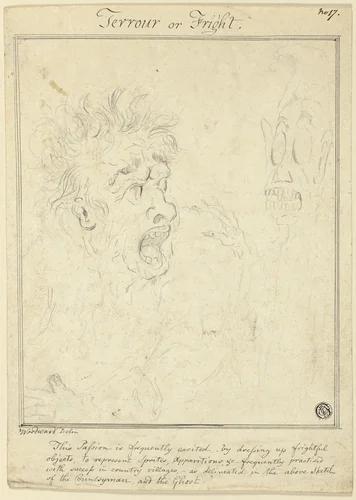 Terror or Fright by George Woodward, drawing, 1770-1809