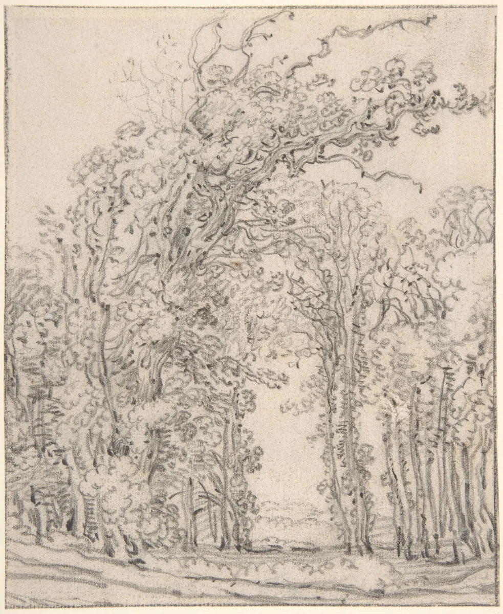 Study of Trees by François Ryckhals, drawing, 1600-1647