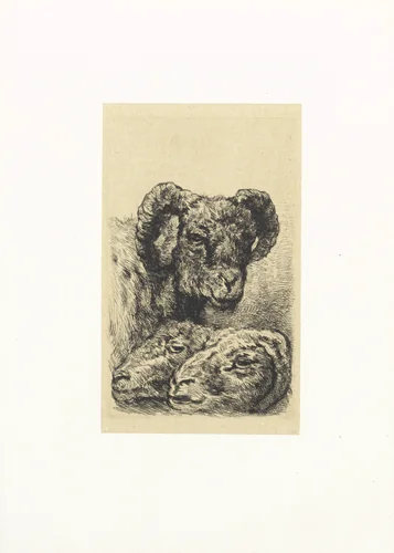 Drie ramskoppen by Frederik Willem Zürcher, print, 1845-1894