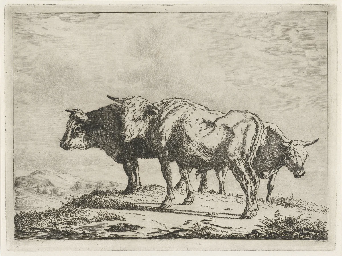 Drie ossen by Jacobus Cornelis Gaal, print, 1854