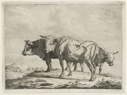 Drie ossen by Jacobus Cornelis Gaal, print, 1854