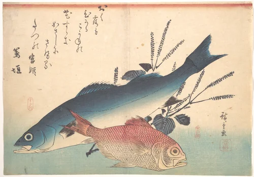 Suzuki and Kinmedai Fish from the series Uozukushi (Every Variety of Fish) by Utagawa Hiroshige (歌川広重), print, 1840-1849