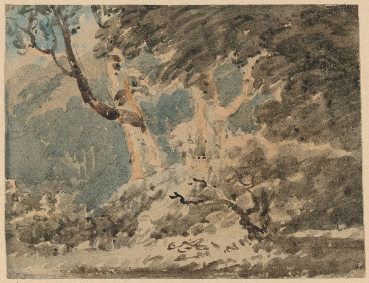The Edge of a Wood by Thomas Girtin, drawing, 1795-1802