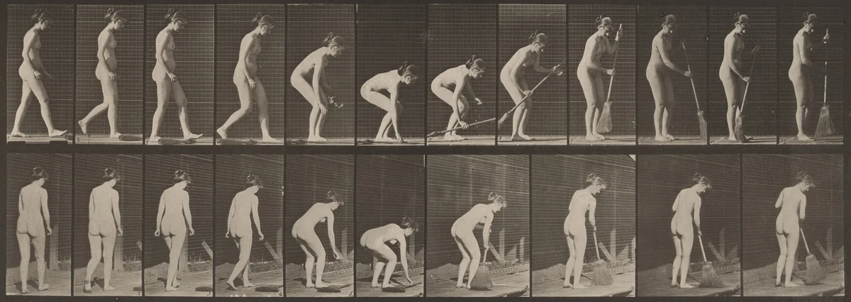 Plate Number 219. Stooping, and lifting broom and sweeping by Eadweard Muybridge, photograph, 1887