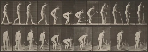 Plate Number 219. Stooping, and lifting broom and sweeping by Eadweard Muybridge, photograph, 1887