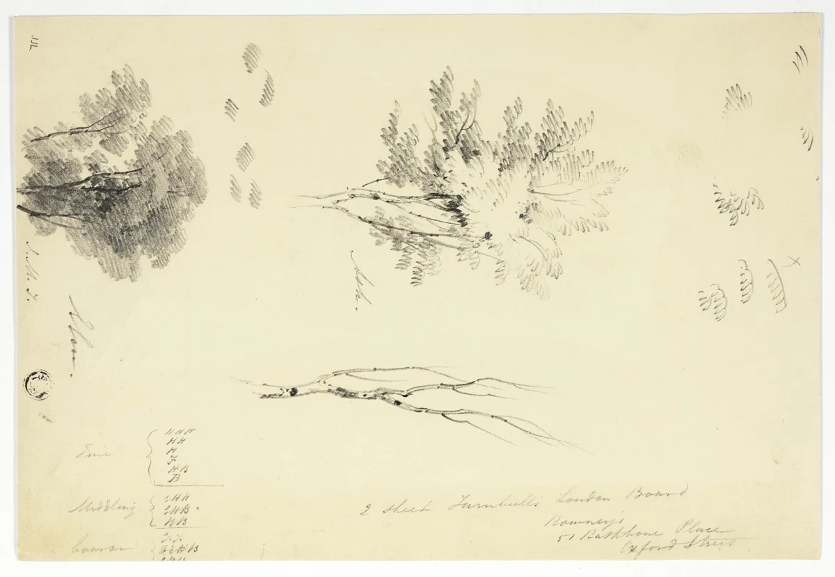 Sketches of Elm and Ash Trees by Joseph Mallord William Turner, drawing, 1795-1851