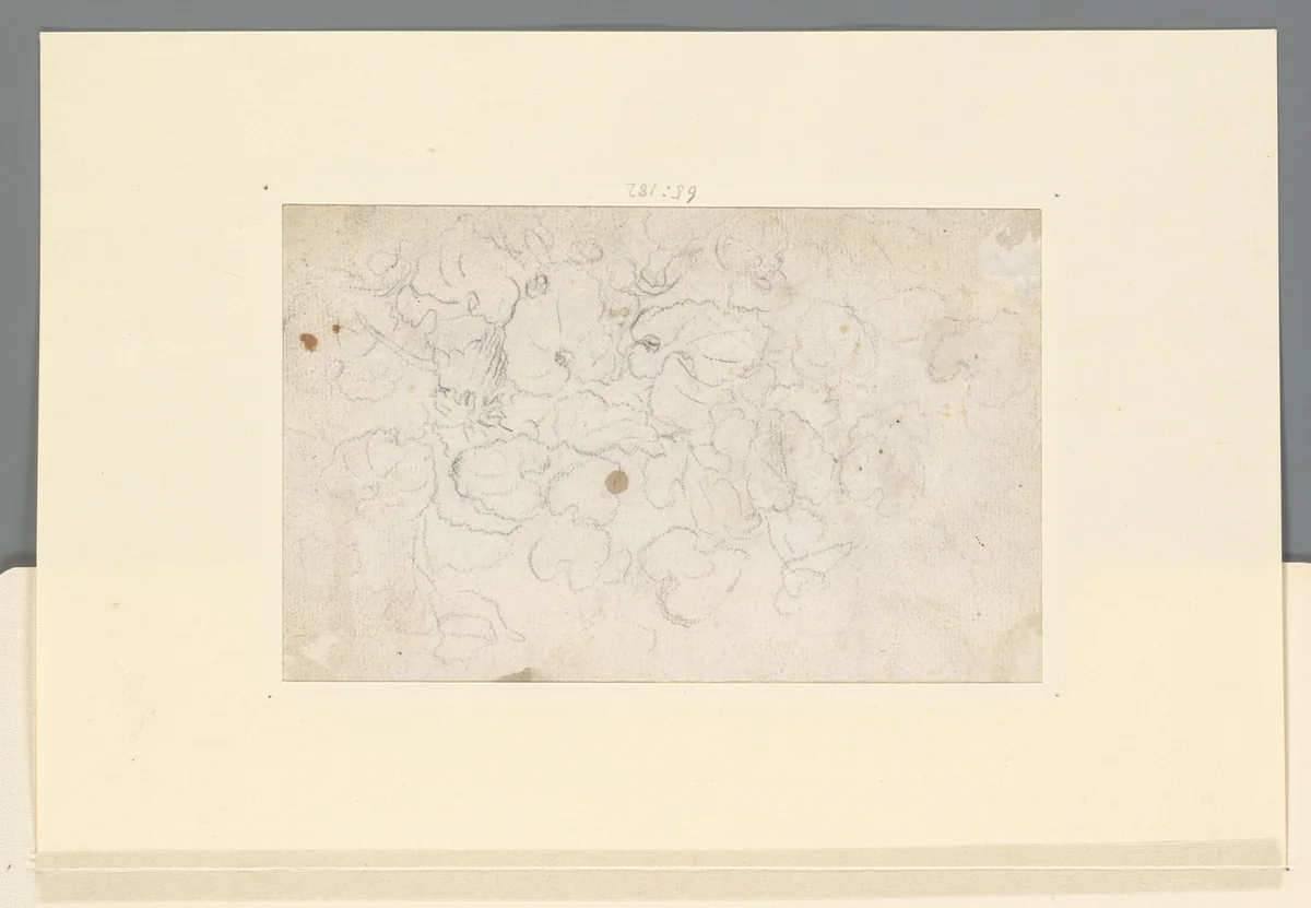 Studies van planten by Crispijn van de Passe, drawing, 1575-1635